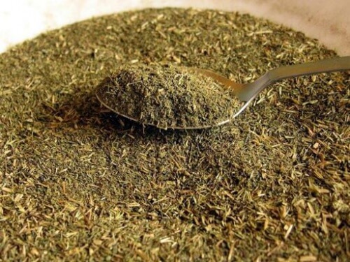 getrocknete Stevia