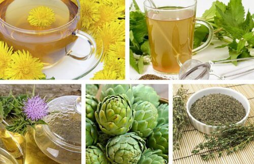 8 reinigende Tees aus Heilpflanzen