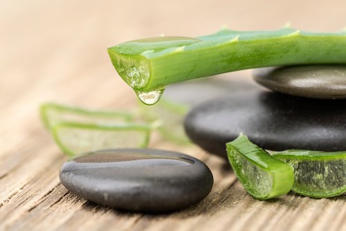 Aloe