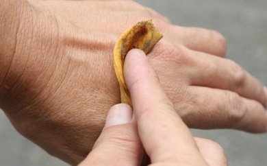 9 Verwendungsmöglichkeiten für Bananenschale