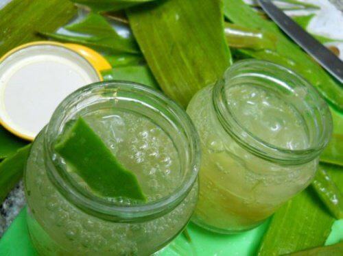 Creme mit Aloe Vera