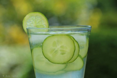 Gurkenwasser