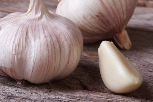 Knoblauch