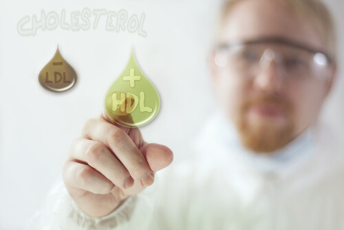 Warum ist gutes Cholesterin wichtig