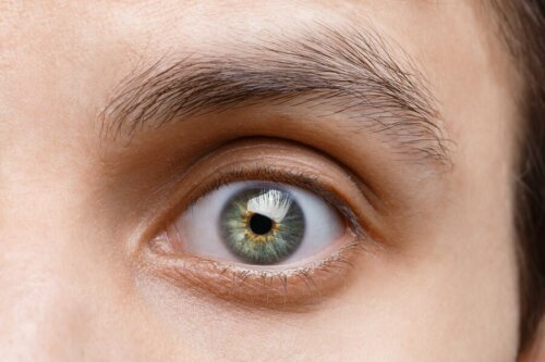grüne Augen