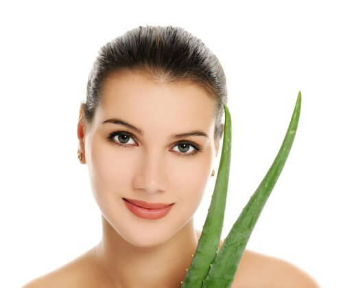 Aloe-Haut