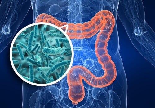 Darmbakterien mit Antibiotika behandeln