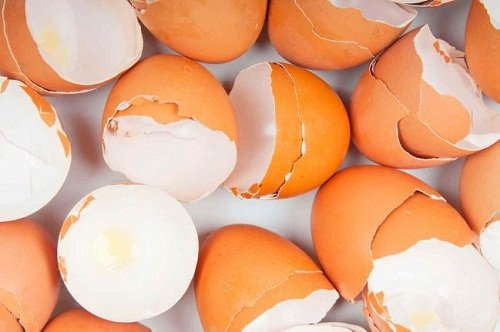 Eierschale zur Entgiftung