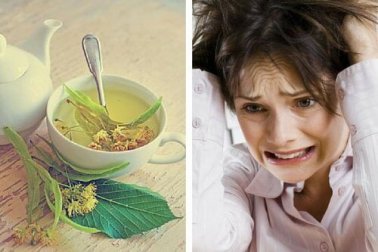 Die besten Kräutertees gegen Nervosität und Angst