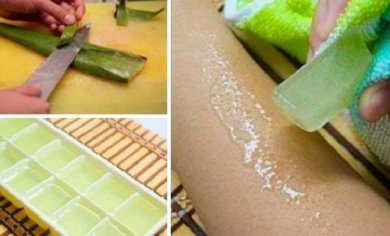 Gefrorenes Aloe Vera: entdecke die Vorzüge!