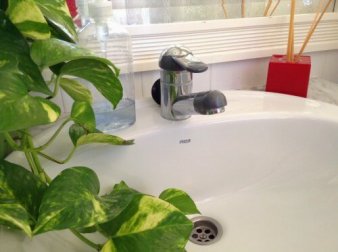 Tipps gegen unangenehme Gerüche aus dem Abfluss