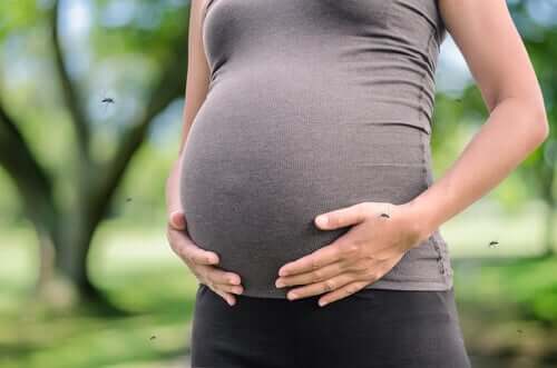 Zika-Virus-schwangere Frau