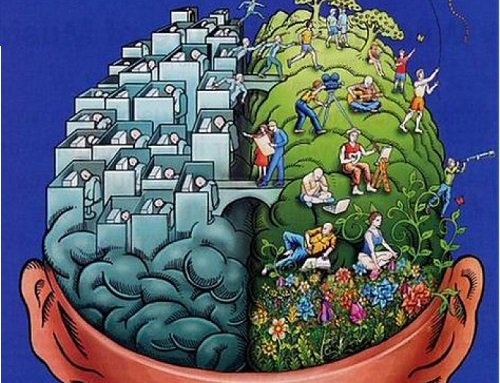 Abbildung der zwei Gehirnhälften