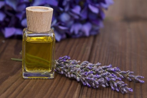 Lavendel als Tonikum