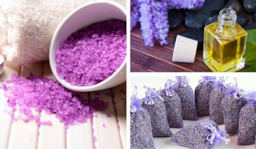 Lavendel für Haushalt, Kosmetik und Gesundheit Lavendel für Haushalt, Kosmetik und Gesundheit