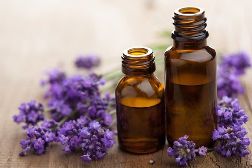 Lavendel gegen Milben