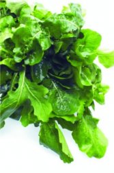 Rucola: wunderbare Eigenschaften