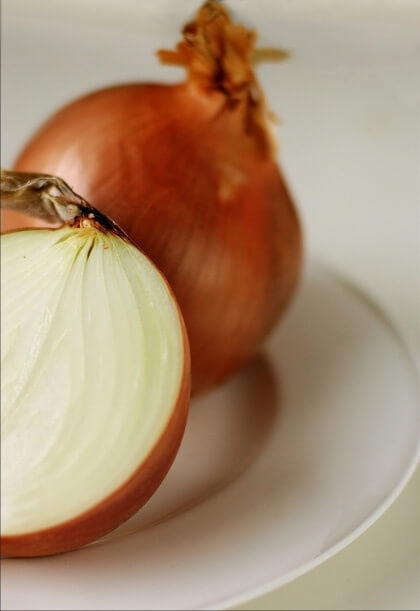 Zwiebel als Heilmittel zur Wundheilung