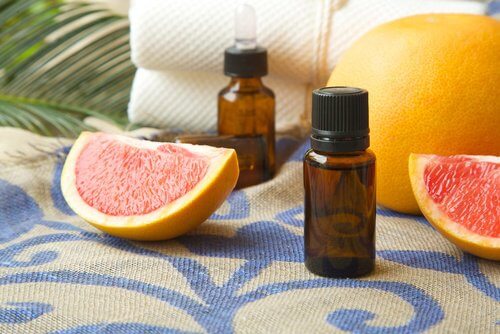 Grapefruitauszug gegen Schimmelpilz