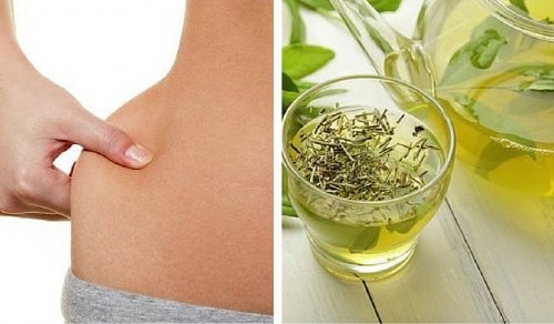 Rezepte Mit Grunem Tee Mischen Und Abnehmen Besser Gesund Leben