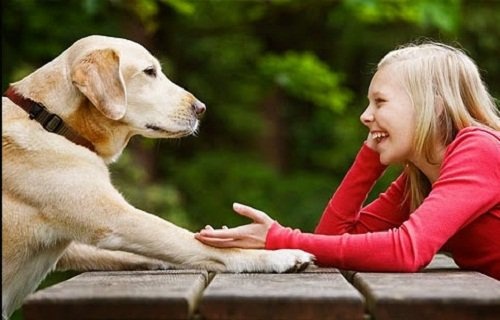 Mädchen spielt mit einem Hund und verwendet Zitrone gegen Flöhe