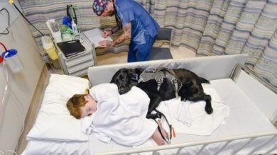 Mahe, der Therapiehund, der sich um seinen autistischen Freund kümmert
