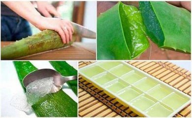 Wie kann man Aloe-Gel aufbewahren?