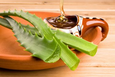 Aloe-Gel und Honig
