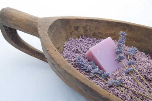Lavendel