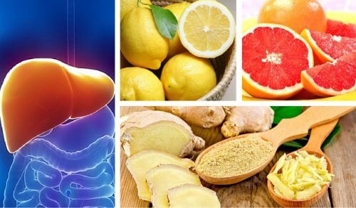 Leber- und Nierenreinigung mit Grapefruit, Zitone und Ingwer