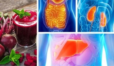 Lebenswichtige Organe entgiften