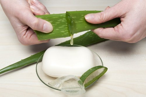 Aloe