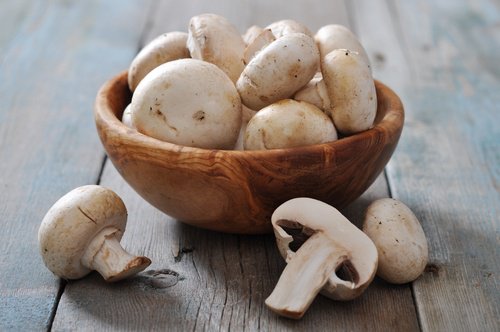 Champignons und Pestizide