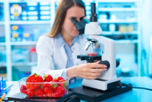 Frau am Mikroskop untersucht Pestizide