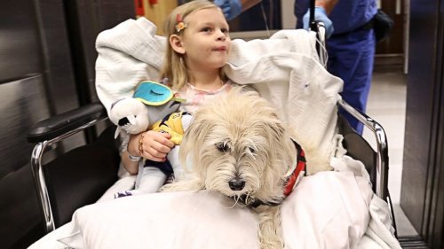 Krankenhaus, das Haustiere erlaubt, macht den Aufenthalt für die Patienten angenehmer