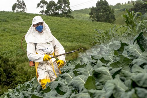 Pestizide gegen Plagen