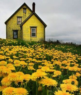 Gelbes-Haus
