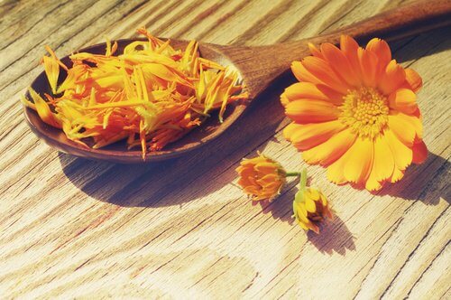 Ringelblume
