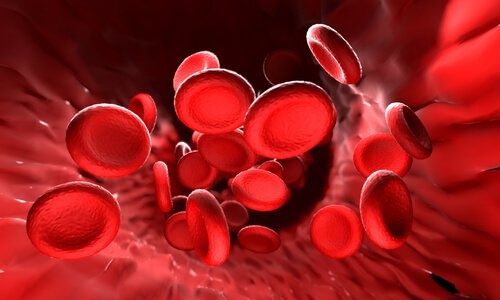 Rote Blutkörper bilden Blutgerinnsel