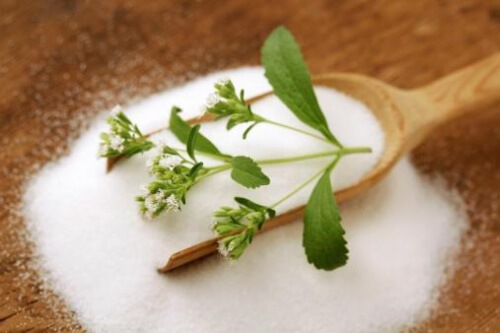 Stevia-Süssstoff