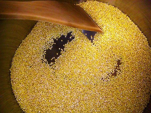 Hirse: Eigenschaften und Nutzen des alkalisierenden Getreides