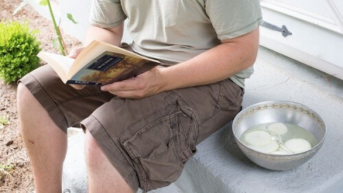 Zwiebel gegen Insekten