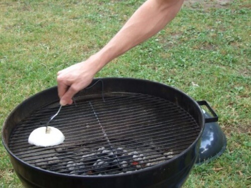 Zwiebel grillen