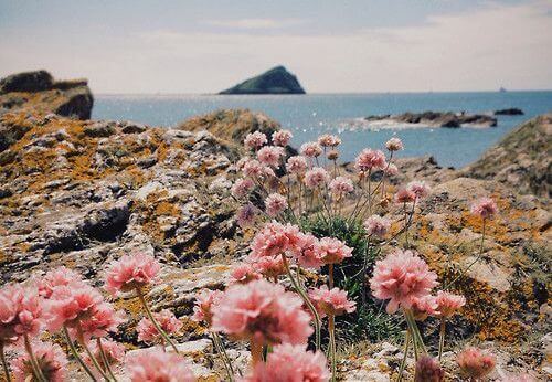 gütig sein und Landschaft am Meer betrachten