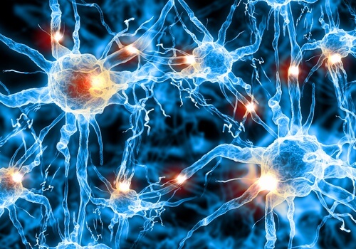 Neuronen