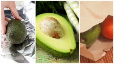 Avocados nachreifen lassen