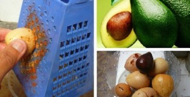 Was man mit dem Avocadokern machen kann