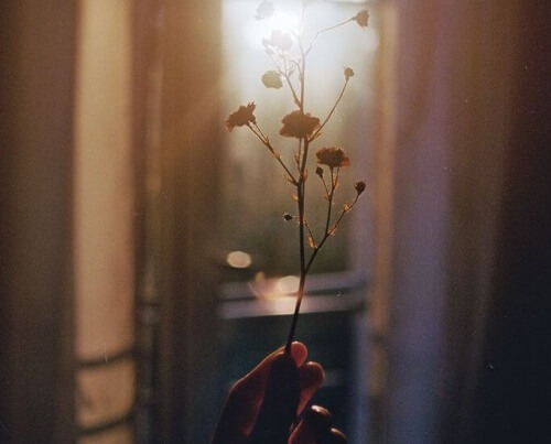 Blumen in der Hand symbolisieren Option