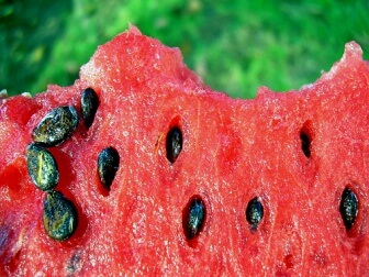 Wassermelonensamen sind gesund