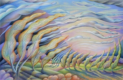 Wind 